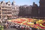 Photo of the flower carpet and the lower end of the Grand' Place from the town hall balcony